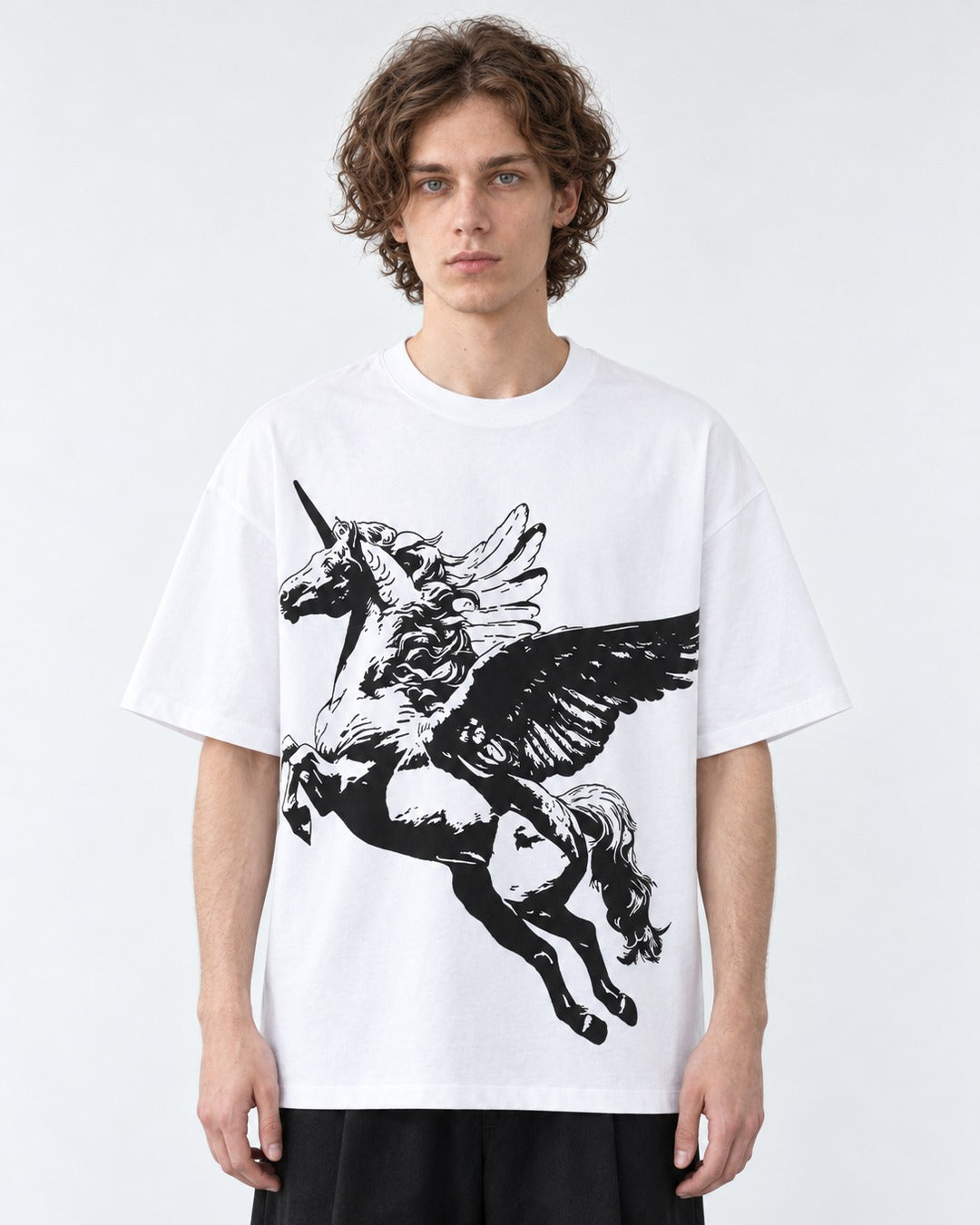 Winged Horse Print Oversized T-Shirt