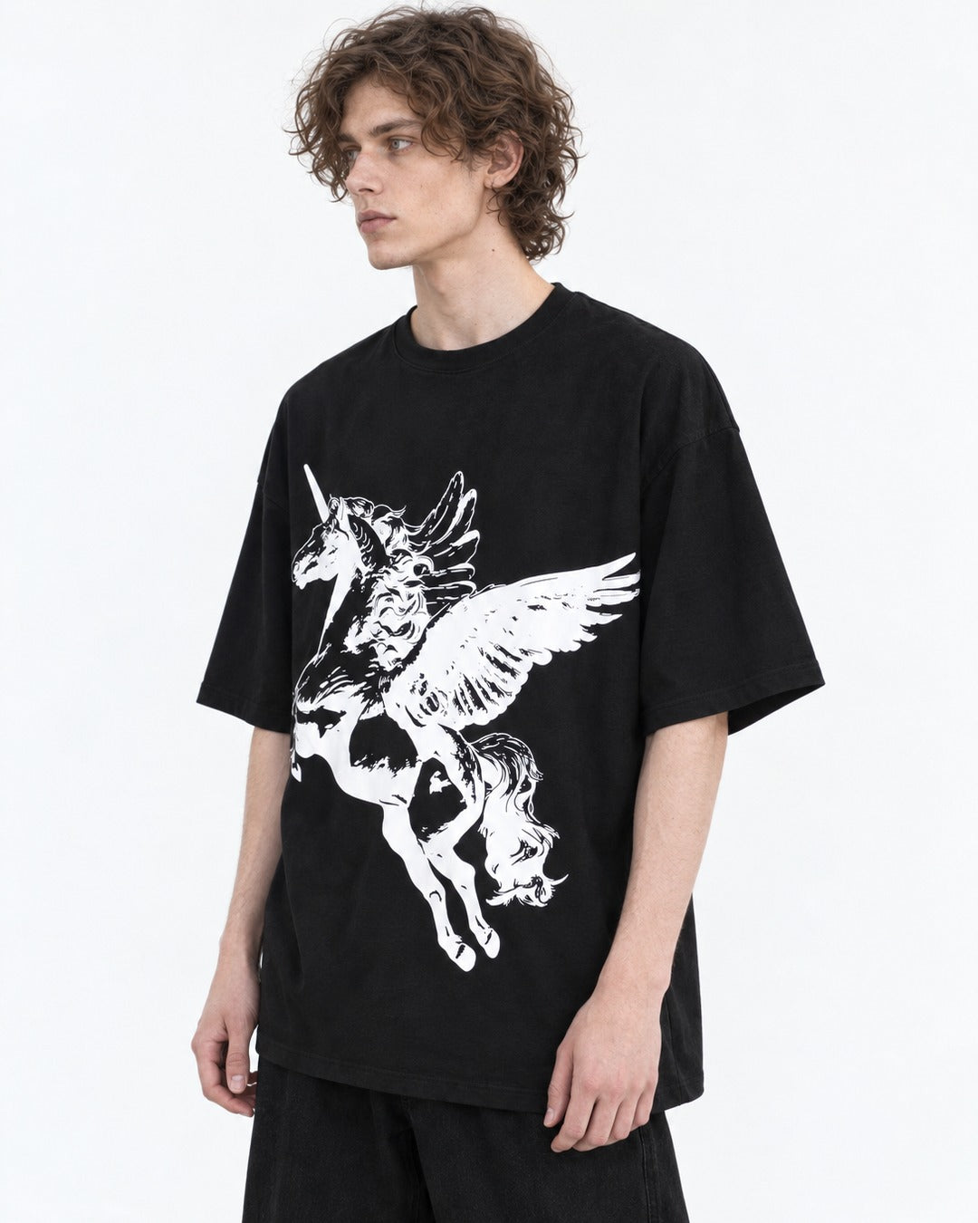 Winged Horse Print Oversized T-Shirt