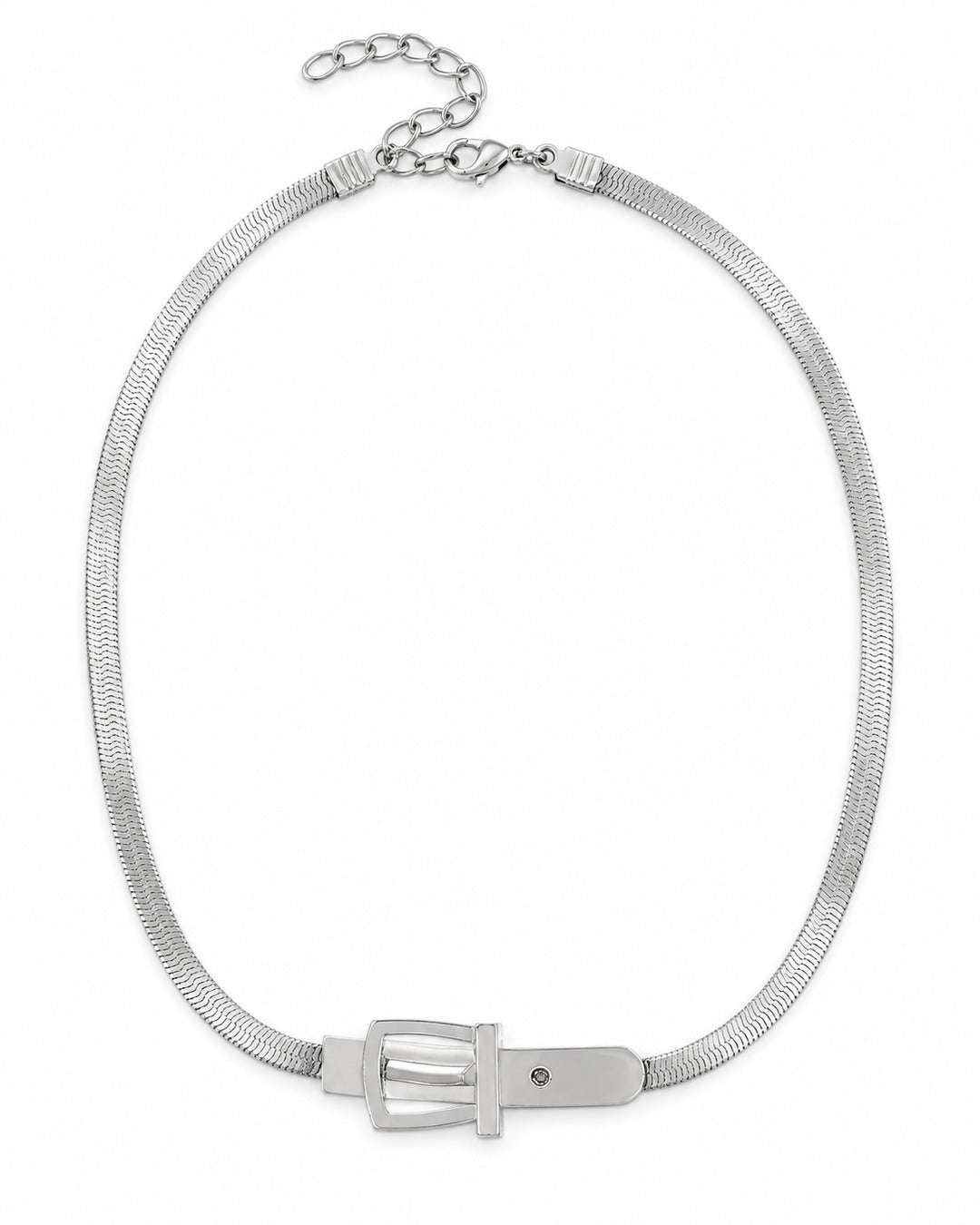 Buckle Snake Chain Necklace