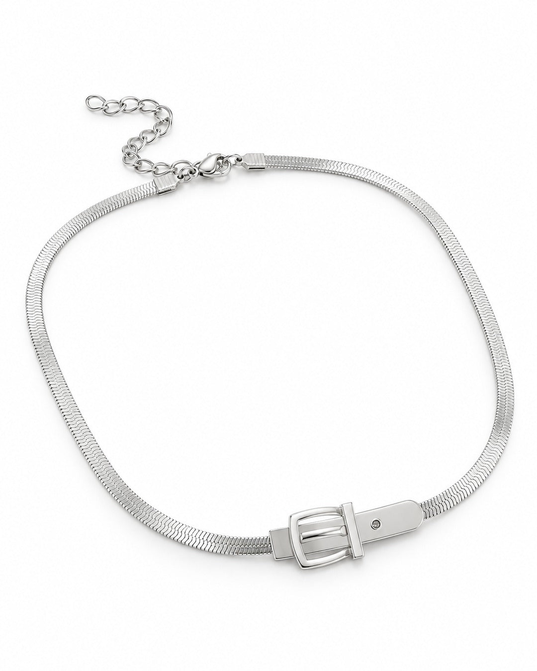 Buckle Snake Chain Necklace