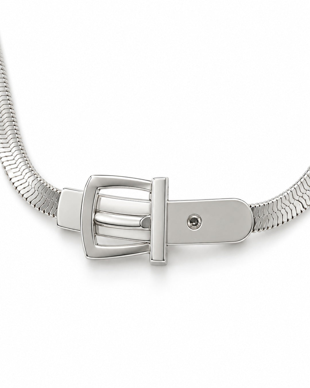 Buckle Snake Chain Necklace